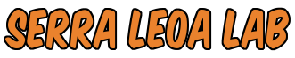 Serra Leoa Lab